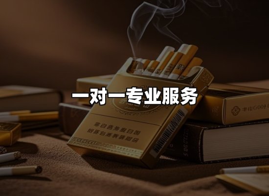 专业优势